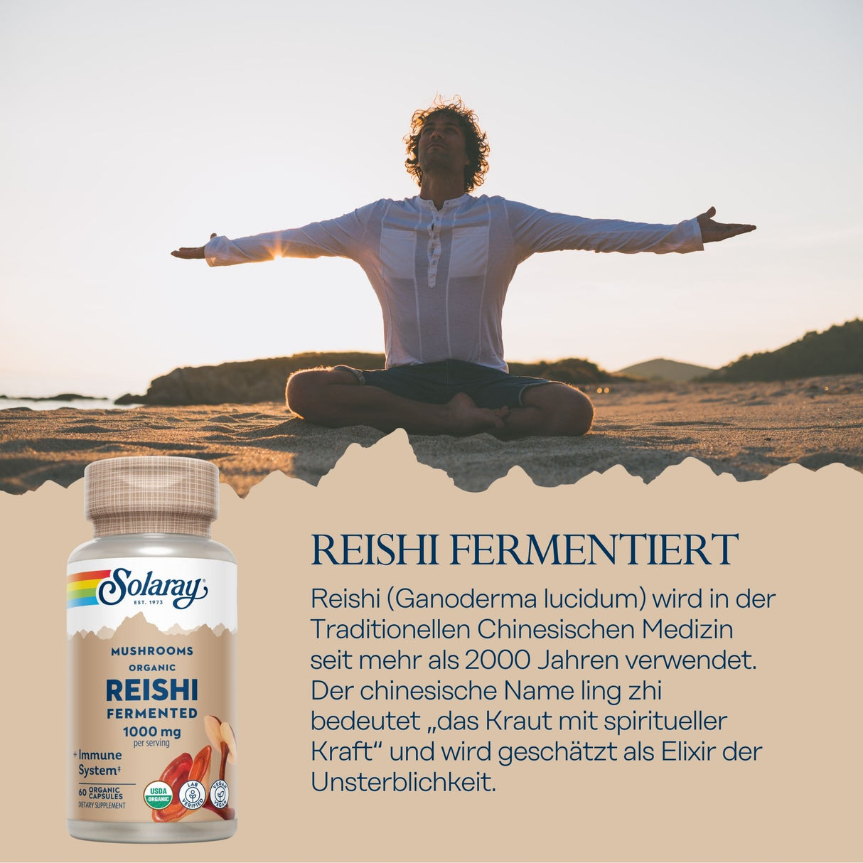 Das Bild zeigt einen Mann in einem weißen Hemd, der im Schneidersitz auf einem Sandstrand sitzt, die Arme ausgestreckt, während die Sonne im Hintergrund untergeht. Im Vordergrund ist eine Flasche mit der Aufschrift 'Solaray Reishi Fermentiert'. Der Text beschreibt die Vorteile des Reishi-Pilzes in der traditionellen chinesischen Medizin.