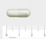 Eine weiße Kapsel liegt horizontal auf einem Lineal mit Zentimeter-Einteilung. Die Kapsel ist etwa 2 Zentimeter lang. Der Hintergrund ist neutral grau.