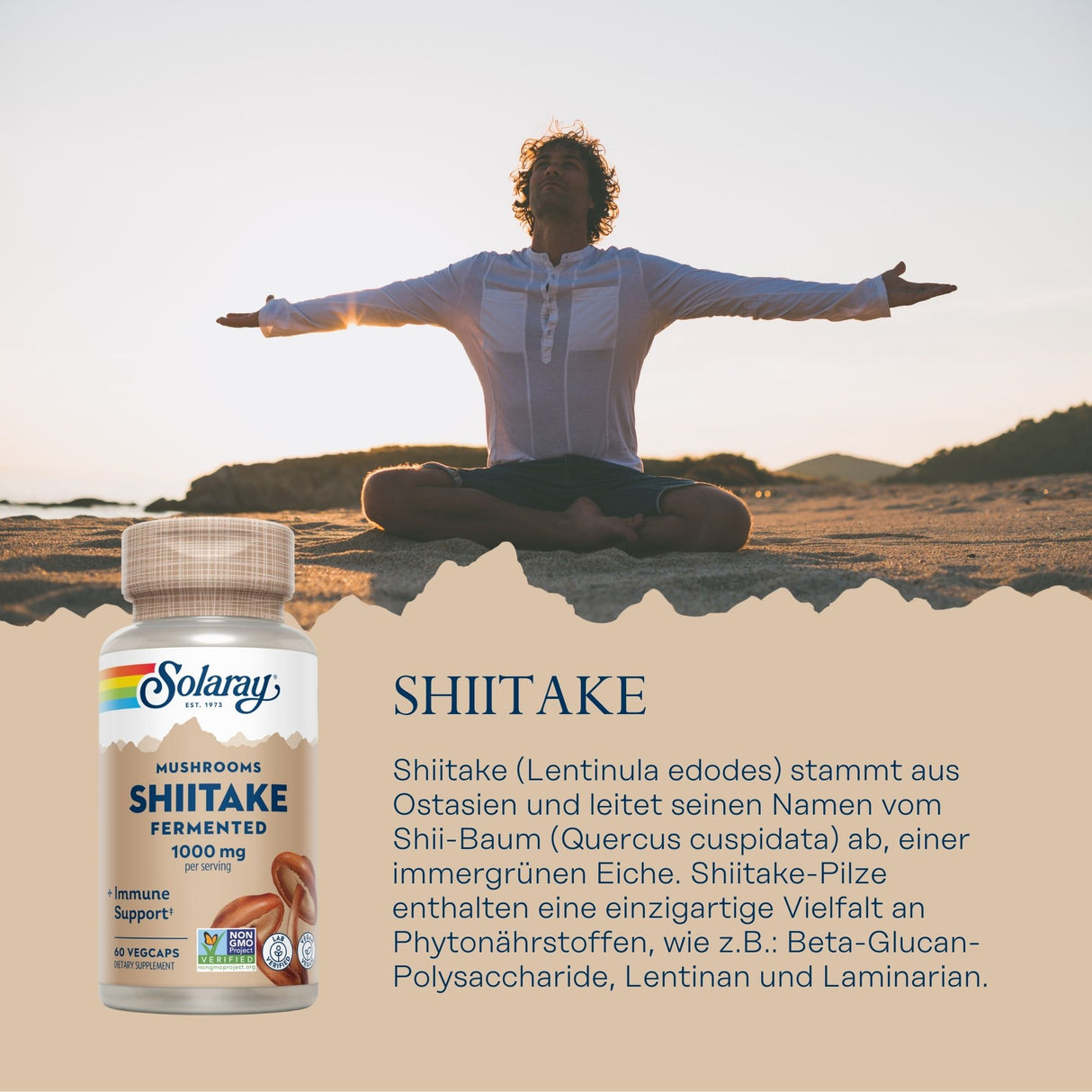 Ein Mann sitzt im Schneidersitz auf einem Sandstrand bei Sonnenuntergang und breitet die Arme aus. Im Vordergrund ist eine Flasche Solaray Shiitake-Pilz-Ergänzungsmittel abgebildet. Der Hintergrund zeigt Hügel und einen klaren Himmel. Der Text beschreibt die Herkunft und Vorteile von Shiitake-Pilzen.