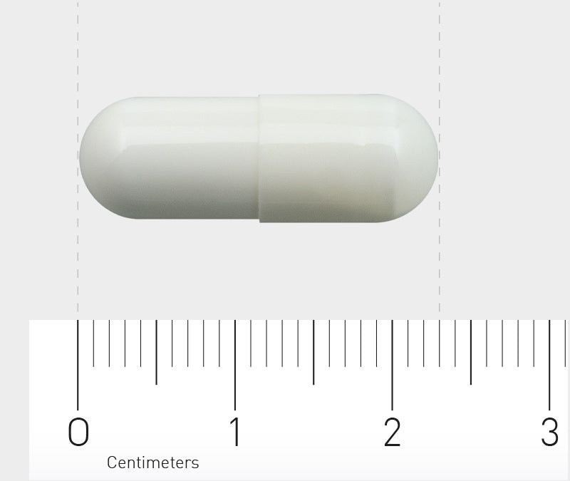 Eine weiße Kapsel liegt horizontal auf einem Lineal, das in Zentimetern skaliert ist. Die Kapsel ist etwa 2 Zentimeter lang. Der Hintergrund ist grau.