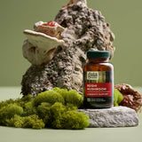 Eine Flasche mit dem Etikett "Gaia Herbs Reishi Mushroom Longevity Support" steht auf einem grauen Stein, umgeben von grünem Moos und einem Baumstamm, auf dem Pilze wachsen. Der Hintergrund ist einfarbig grün.