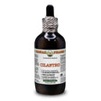 Das Bild zeigt eine dunkle Glasflasche mit einem Tropfverschluss. Auf dem Etikett steht "Hawaii Pharm Cilantro". Die Flasche enthält 120 ml und ist als Kräuterergänzung gekennzeichnet. Das Etikett gibt an, dass es sich um ein natürliches Produkt handelt.