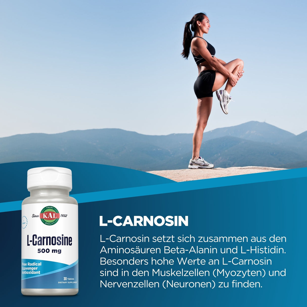 Frau in Sportkleidung dehnt sich auf einem Berg. Links unten eine Flasche L-Carnosin, Text beschreibt Zusammensetzung und Vorkommen von L-Carnosin.