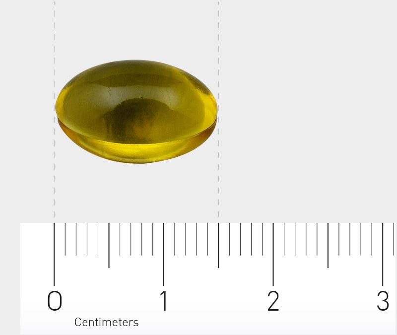 Das Bild zeigt eine gelbe, ovale Kapsel, die auf einem Lineal liegt. Das Lineal zeigt Zentimeter an und die Kapsel ist etwa 1,5 Zentimeter lang. Der Hintergrund ist neutral grau.