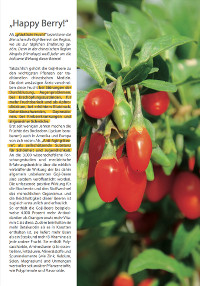 Extrablatt zum Thema Goji-Beeren (Juni 2016)