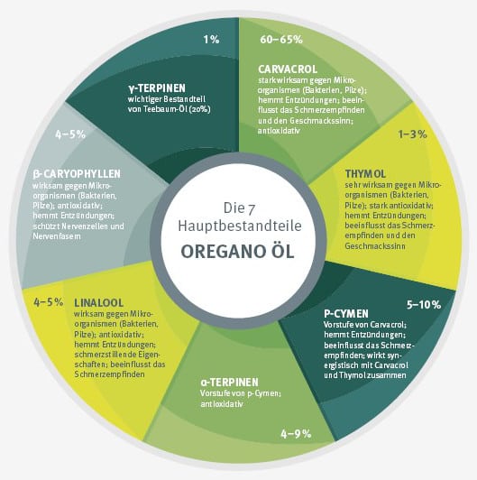 7 Hauptbestandteile von Oregano-Öl