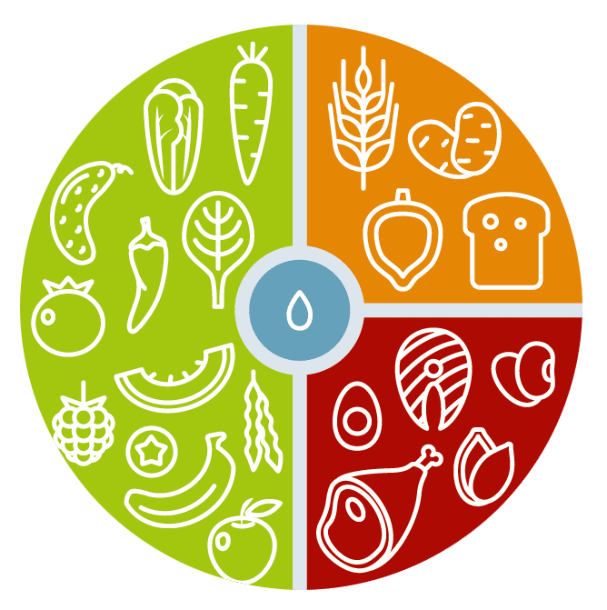 Grundversorgung durch Lebensmittelgruppen als Tortendiagramm