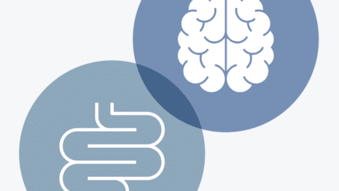 Die Funktionsweisen des Darms und des Gehirns sind eng miteinander verknüpft. - pictogramm-artige Darstellung