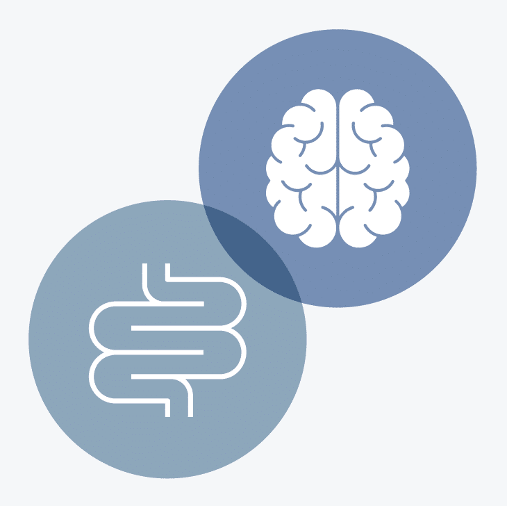 Die Funktionsweisen des Darms und des Gehirns sind eng miteinander verknüpft. - pictogramm-artige Darstellung