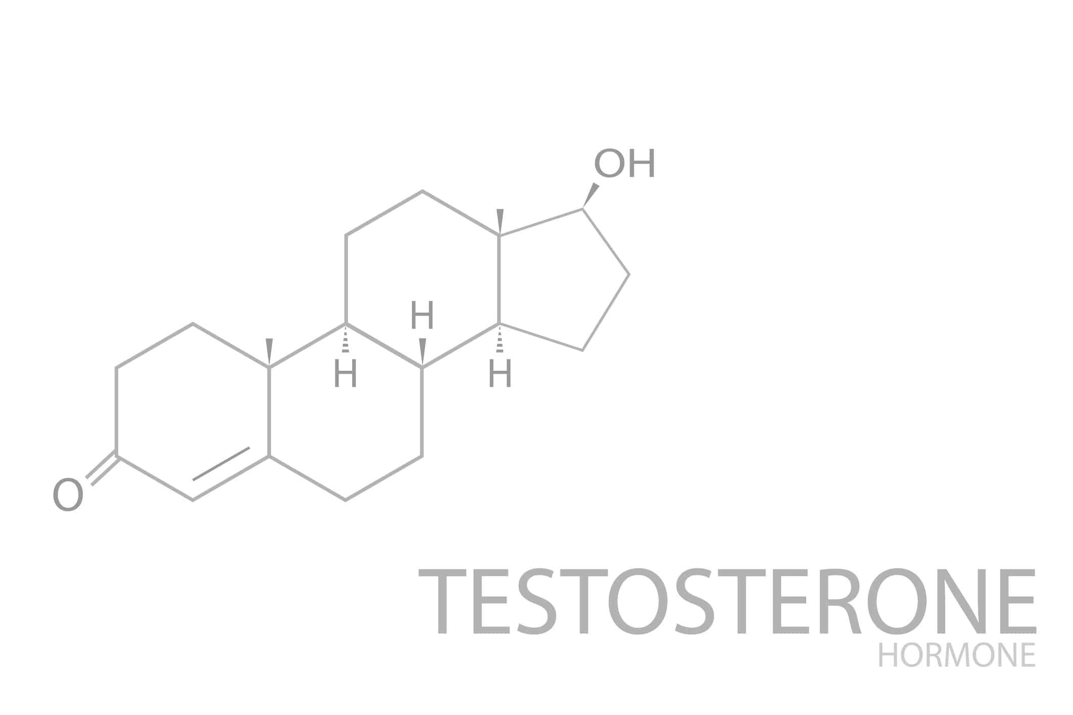 Chemische Struktur von Testosteron