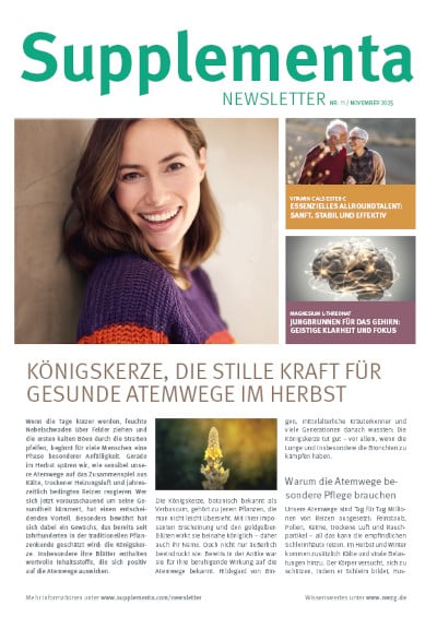 Supplementa Monatsnews im November 2025