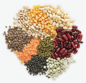 verschiedene Sorten von Hülsenfrüchten in getrockneter Form