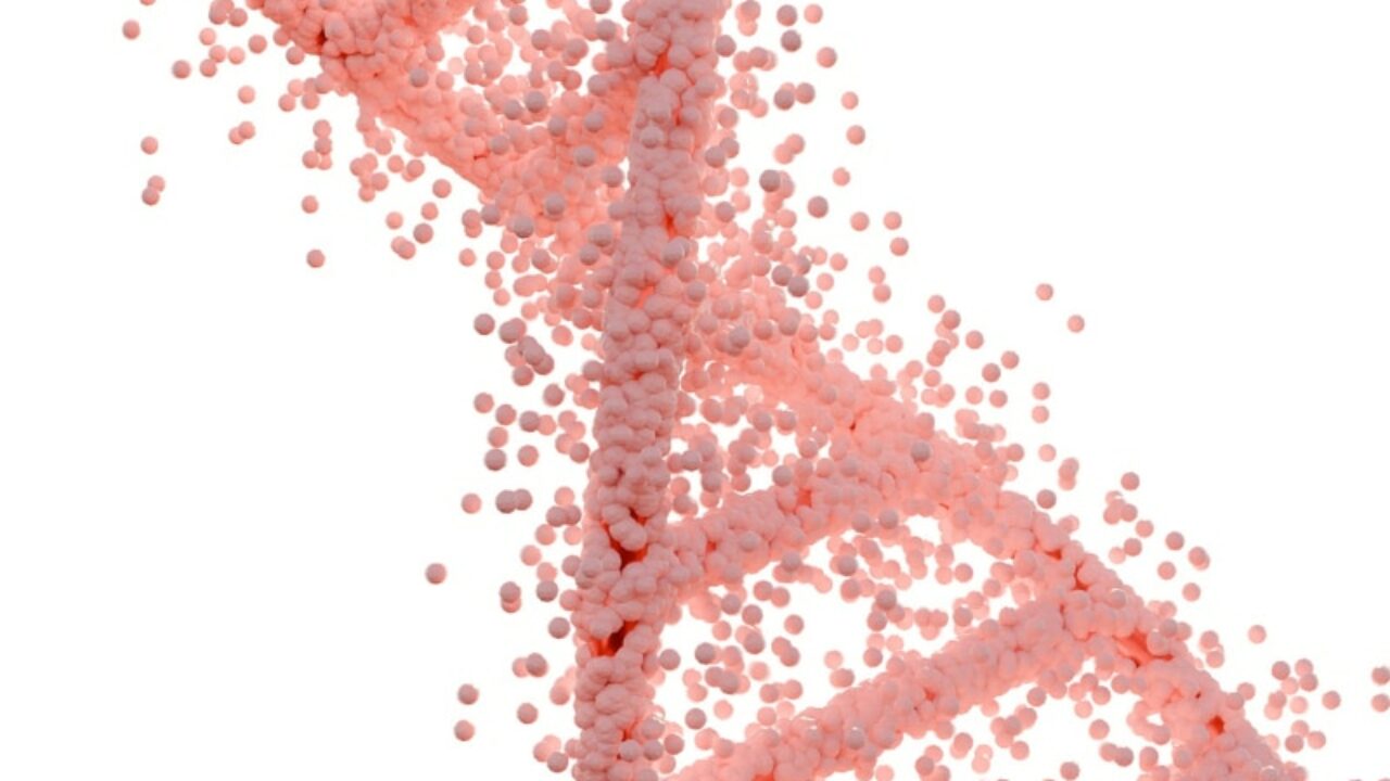 Pink Double Helix DNA Molecule on White Background.