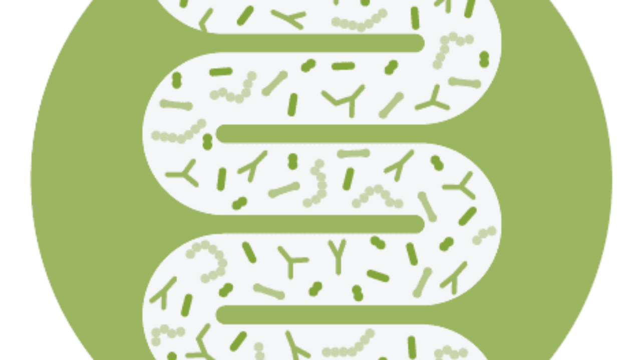 buttersaeure darm pictogram