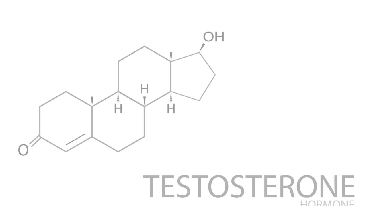 Chemische Struktur von Testosteron