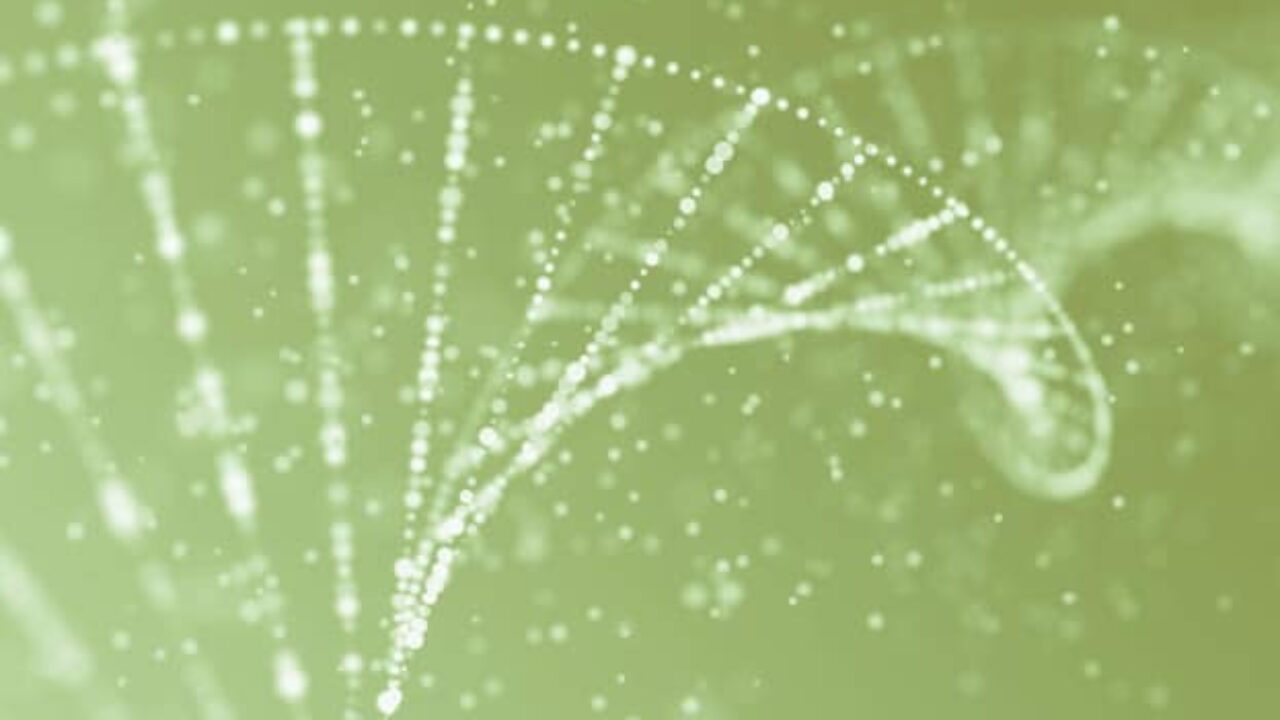 DNA-Helix