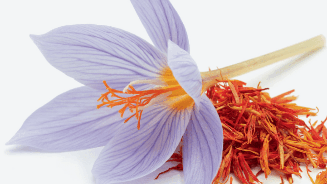 Safranblüte und Safranfäden